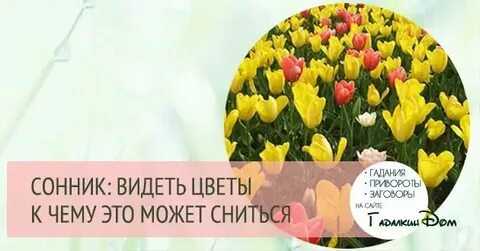 Сонник к чему снится цветы живые