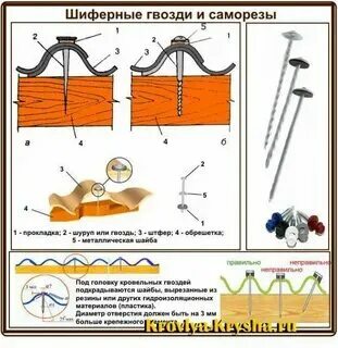 Шифер сколько гвоздей