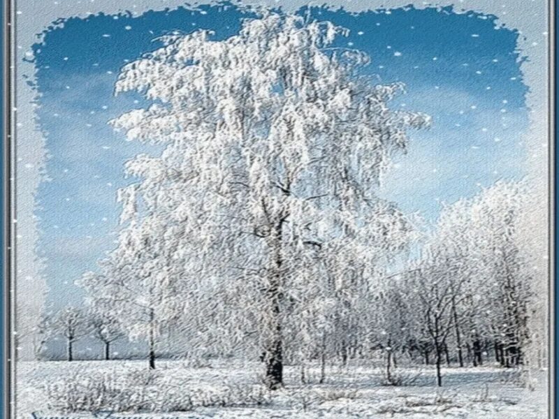 Белая береза рисунок. Белая береза иллюстрация. Иллюстрация к стихотворению есенина белая береза. Береза есенина. Белая береза иллюстрация.