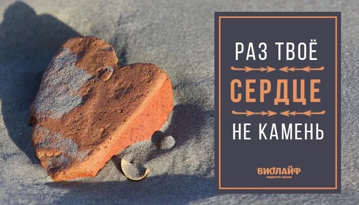 Мое сердце камень. Твоё сердце камень. Сердце камень цитаты. Сердце не камень стих. Сердце не камень человек