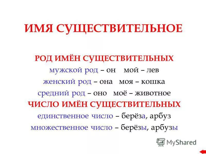 Интервью род существительного. Интервью род существительного