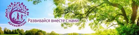 Пансионат древо жизни