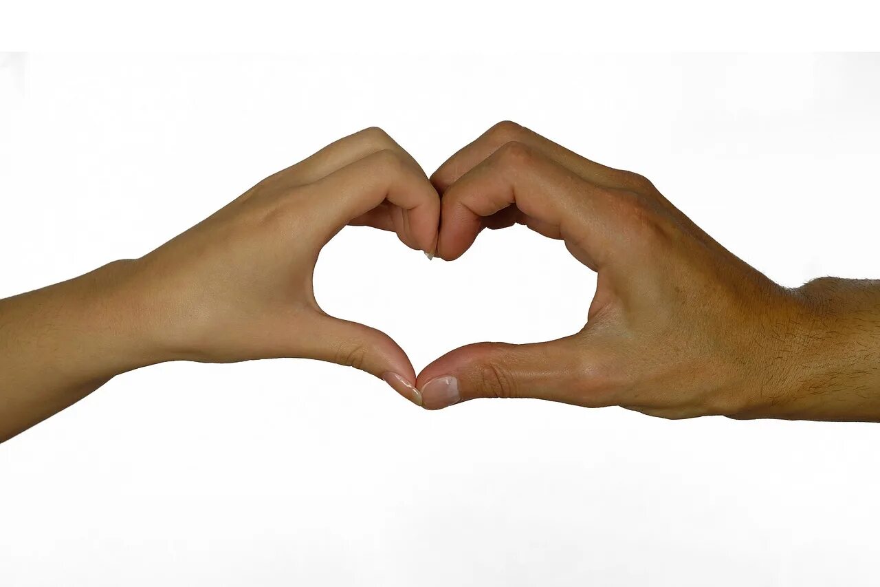 Hand form