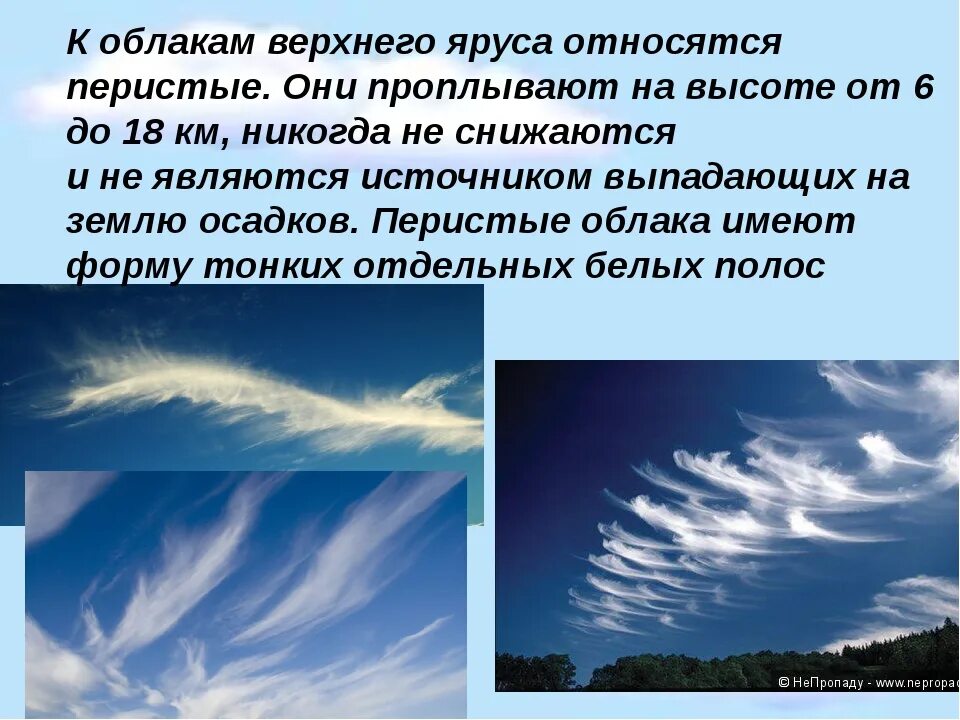 Определить высоту облаков. Облака Кучевые перистые Слоистые. Перистые облака Кучевые облака Слоистые облака. Разнообразие облаков. Описание облаков.