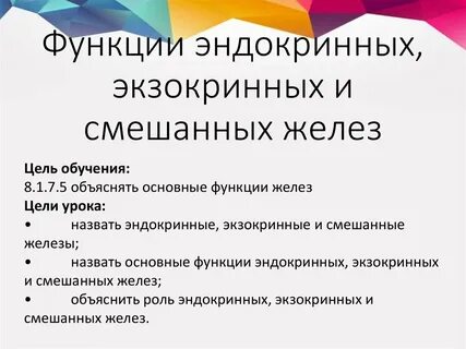 Конспект железы внутренней секреции и их функции