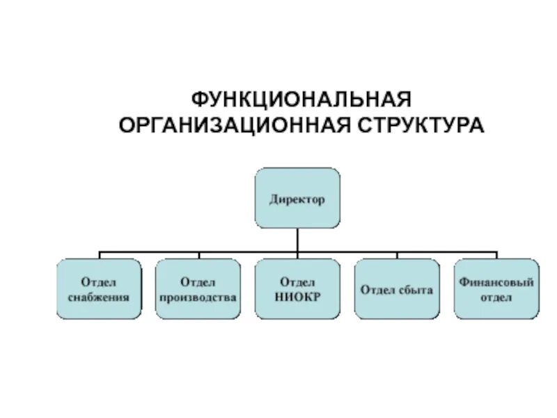 Функциональная система менеджмента - 8 фото из 48