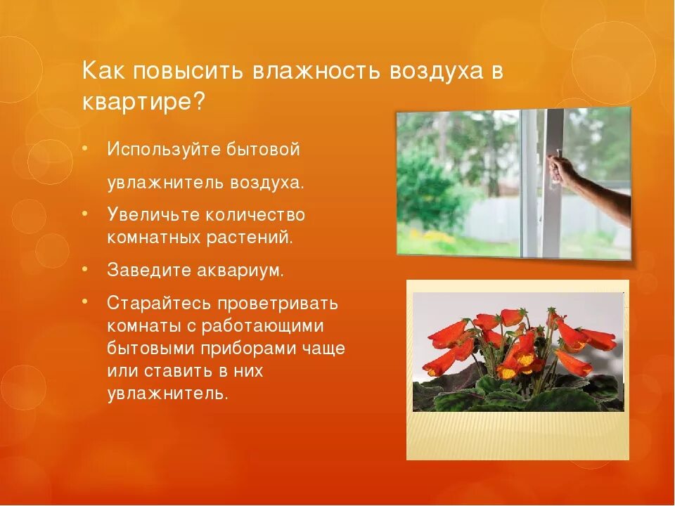 Как повысить влажность в комнате. Как повысить влажность воздуха в комнате. способы повышения влажности. влажность воздуха повышена. способы повышения влажности воздуха.