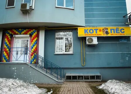 Кот и пес калуга
