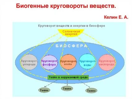 Циклы веществ