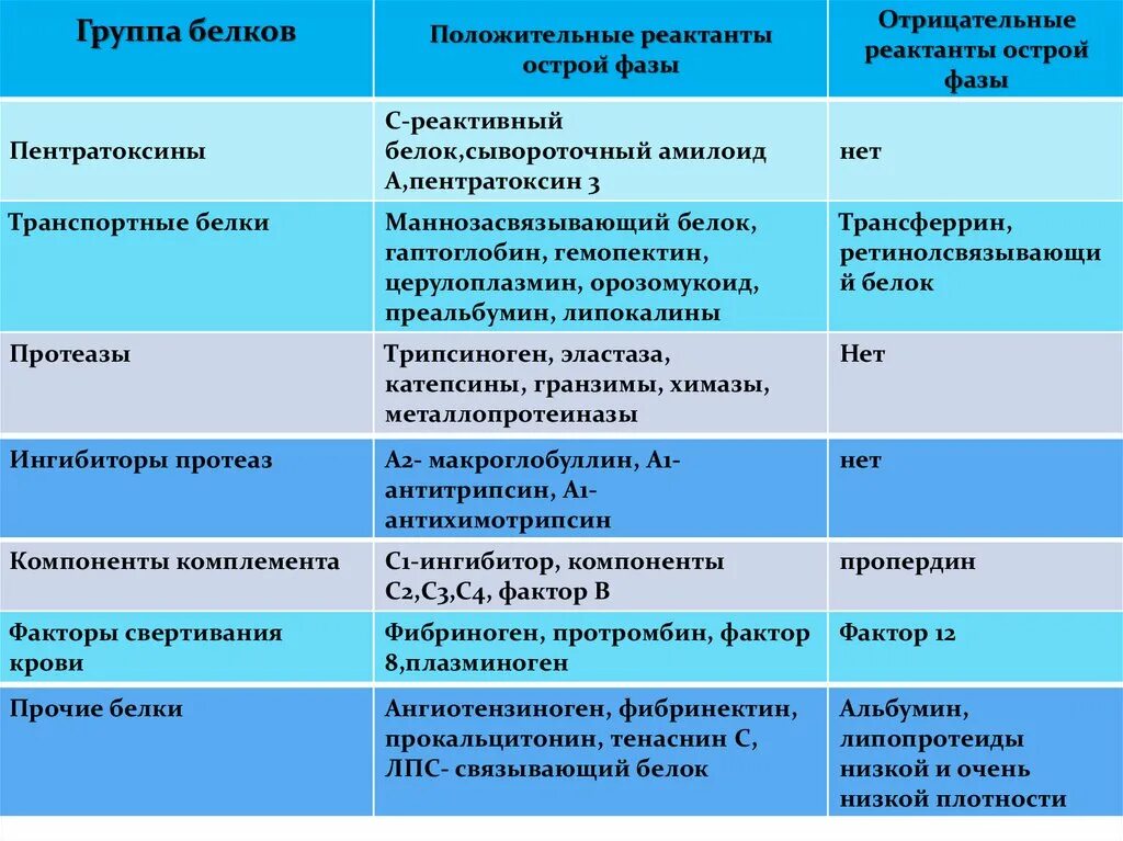 Белки группа соединений. Группы белков. Основные группы белков. Группа белок. Три группы белков.