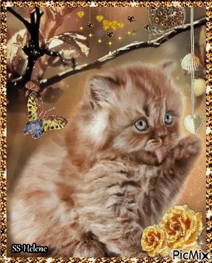 Кошка с мобильником. Самый необычный телефон кошка. Заставка котики. Кошки на телефоне живые. Заставки на телефон прикольные неоновые.