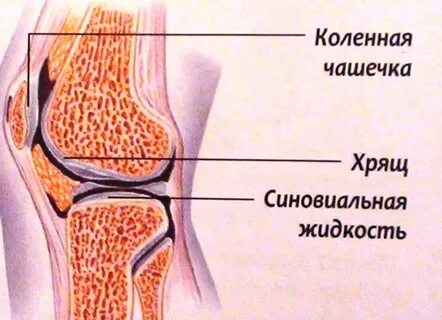 Коленный сустав скопление