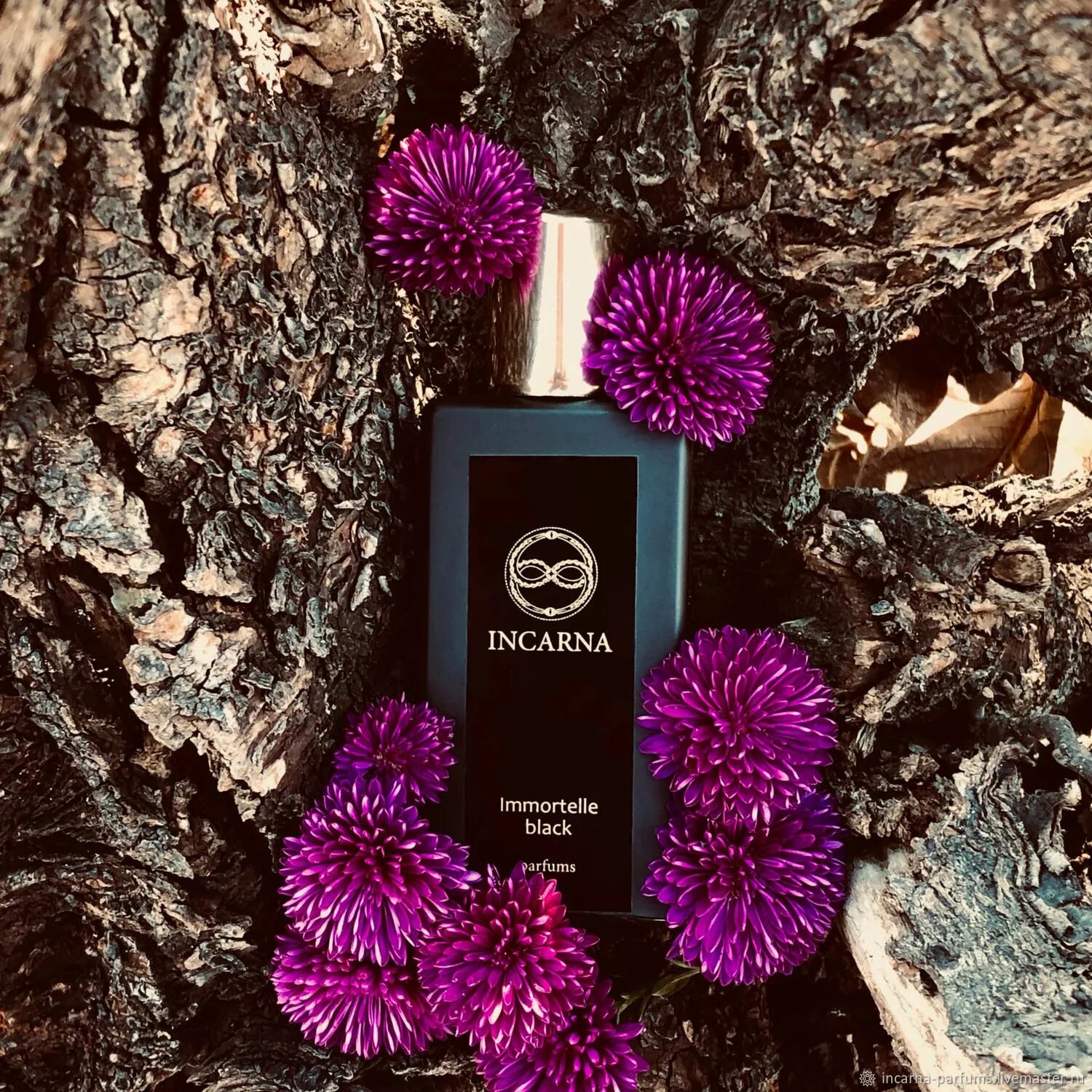 Vert insight incarna parfums