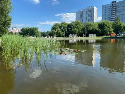 Пруды московская область