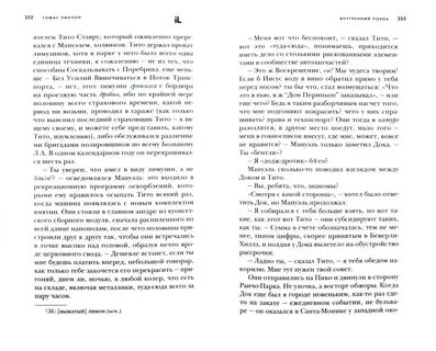 Пинчон внутренний порок