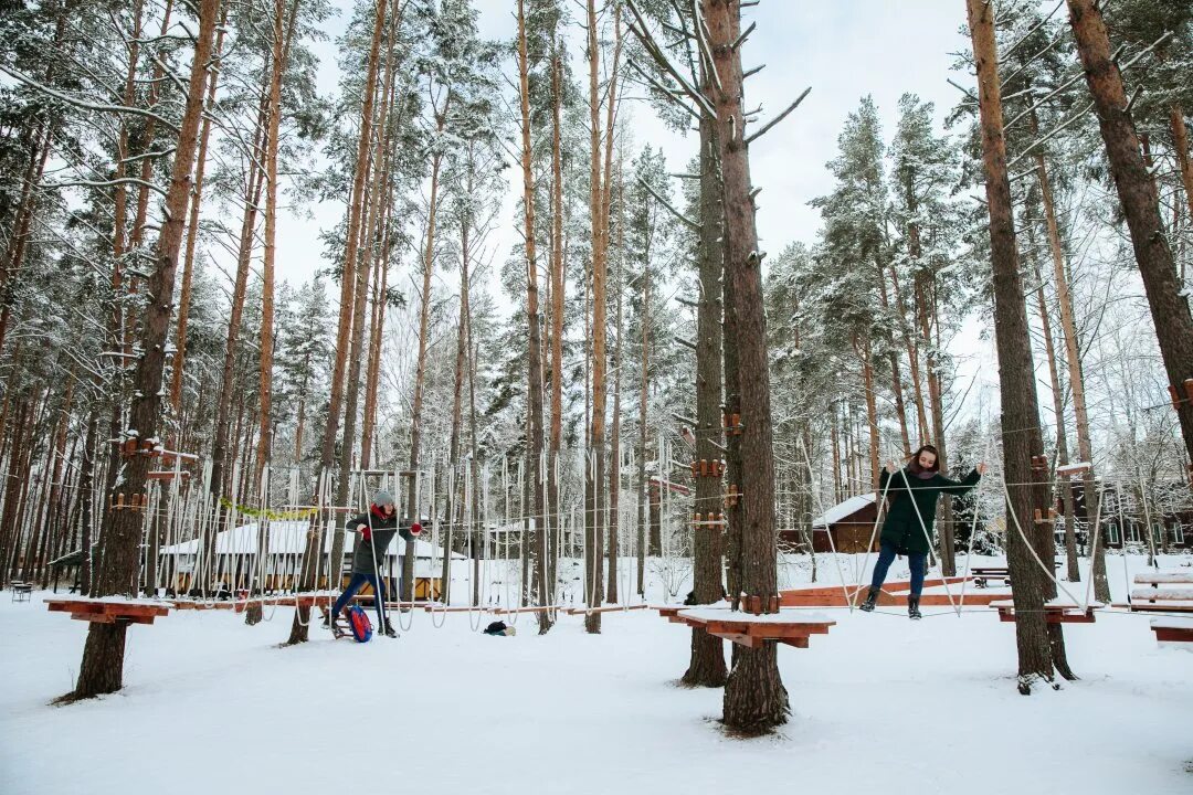 Лосево парк веревочный городок. Лосево парк база отдыха. Лосево парк база отдыха Ленинградская область. Лосево парк 3* в Ленинградской области. Лосево парк сайт