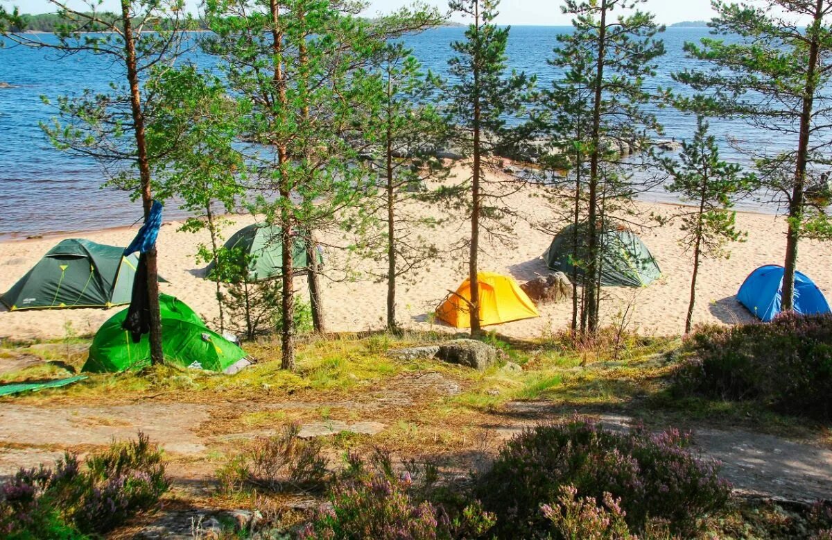 Кемпинг с палатками в ленинградской. Кемпинг парк ладога. кемпинг на ладожском озере. ладожское озеро палаточный лагерь. кемпинг на ладожском озере карелия.