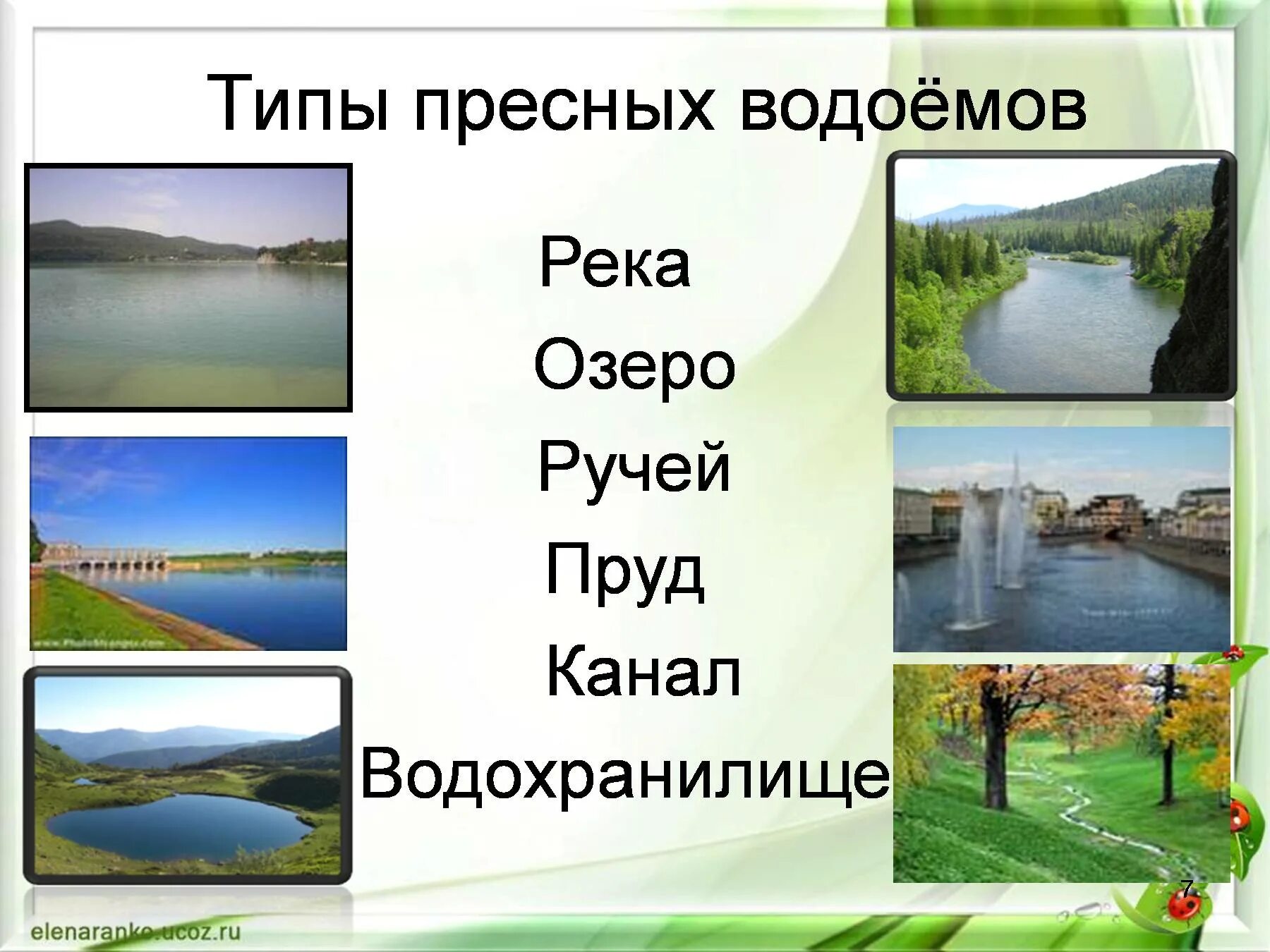 Виды пресных водоемов. Пресные водоемы. Пресные водоемы названия. Слайды водоемы. Отличие пруда от озера