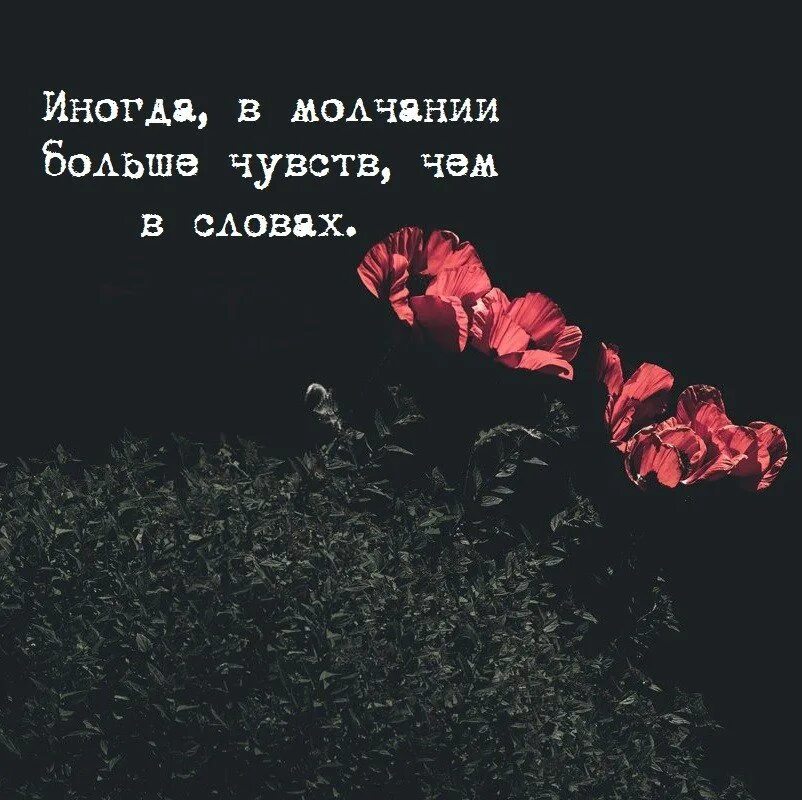 Иногда в молчании больше чувств чем в словах. Молчание цитаты. Цитаты про молчание со смыслом. Цитаты про молчание в отношениях. На счет молчания