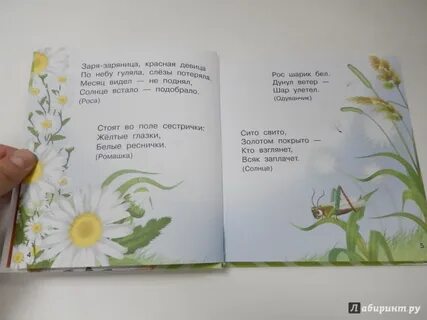 Сны ведь снятся неспроста