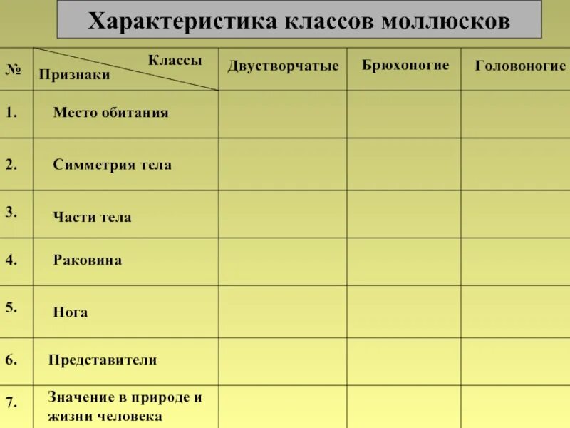 Число видов двустворчатых. Таблица сравнение брюхоногих двустворчатых и головоногих. таблица по биологии 7 класс класс головоногие. моллюски брюхоногие части тела таблица по биологии 7 класс. класс 7 биология моллюски таблица признаков.