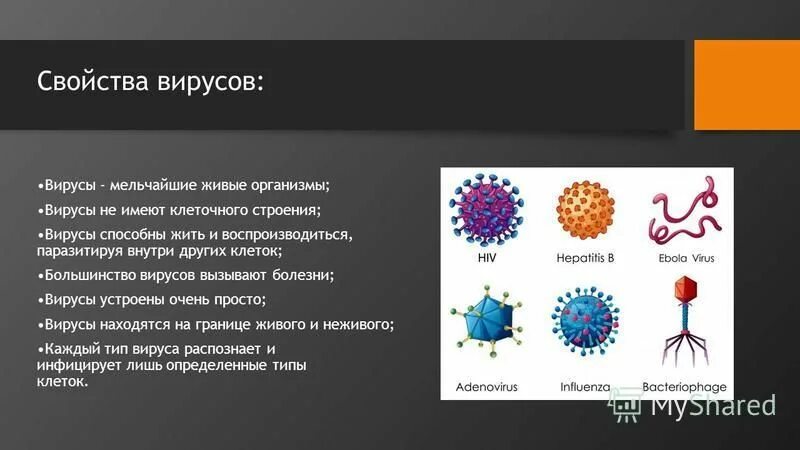 уникальные свойства вирусов. вирусы мельче клеток?. разнообразие вирусов. вирусы живые. вирусы мельчайшие.