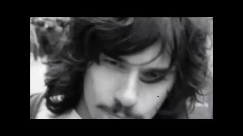 Слушать песни белая стрекоза любви. Белая стрекоза любви quest pistols. квест пистолс белая стрекоза. антон савлепов белая стрекоза любви. quest pistols стрекоза любви.