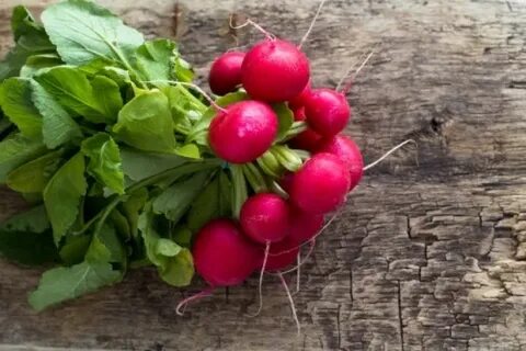 Вкусный редис