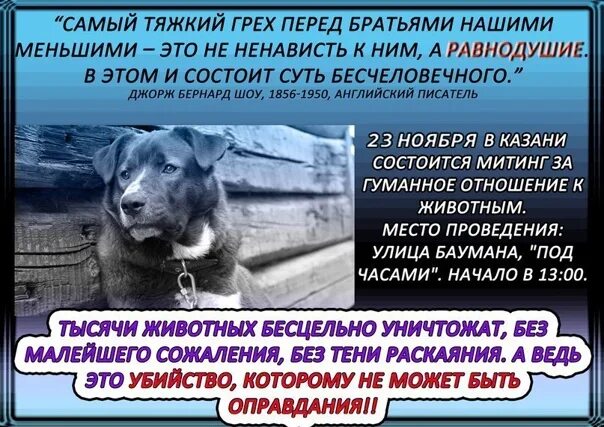 Что общего у греха и зверя