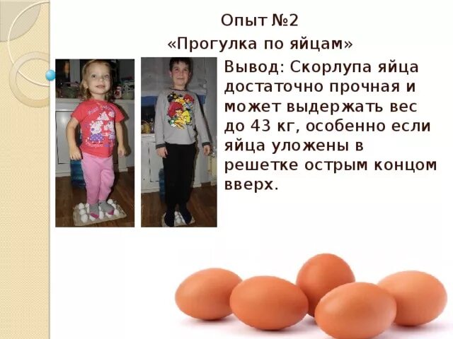 Почему яйцо выше. А прочно ли куриное яйцо. яйца для презентации. опыты с яйцом для детей.