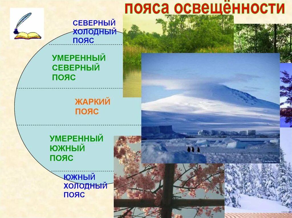 Особенности северного умеренного пояса. Холодный пояс. Холодный пояс освещенности. Северный холодный пояс освещённости. Южный холодный пояс освещённости.