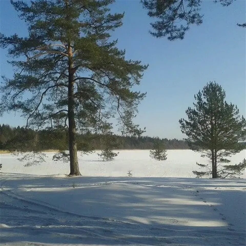 Photos at Липовское озеро