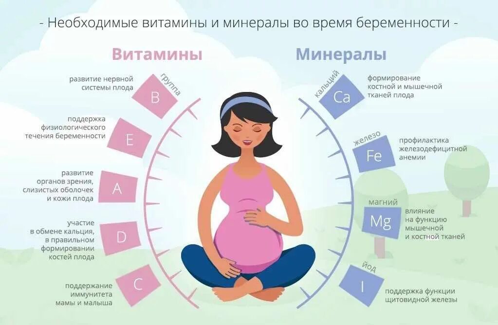 Информация для беременных и будущих мам. Рекомендации беременным на ранних сроках беременности. Рекомендации беременной по приему витаминов. Беременность рекомендации и противопоказания