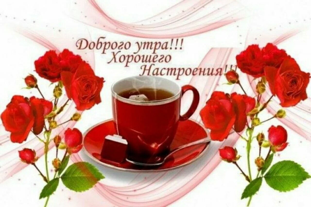 Доброе утро и отличного дня красивые. Доброго утра и хорошеготнастроения. доброе утро хорошего настроения. хорошего доброго утра и отличного настроения. доброе утро хорошего дня и прекрасного.