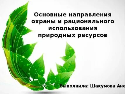 Направления рационального использования ресурсов
