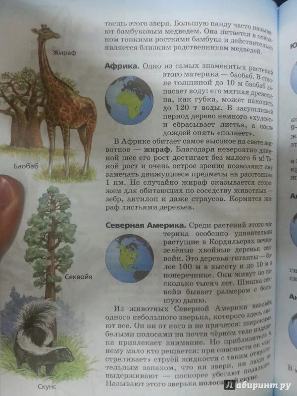 Биология пятый класс учебник