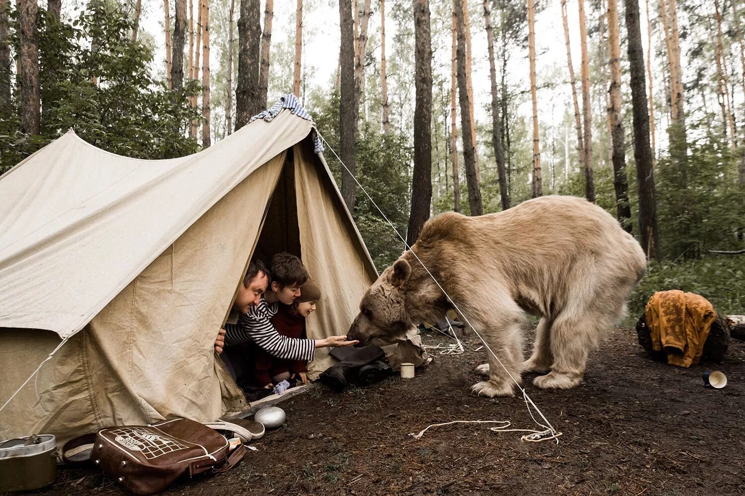 Палатка на природе. Медведь в походе. Туристы в лесу. Охотничий туризм. Tourist camping