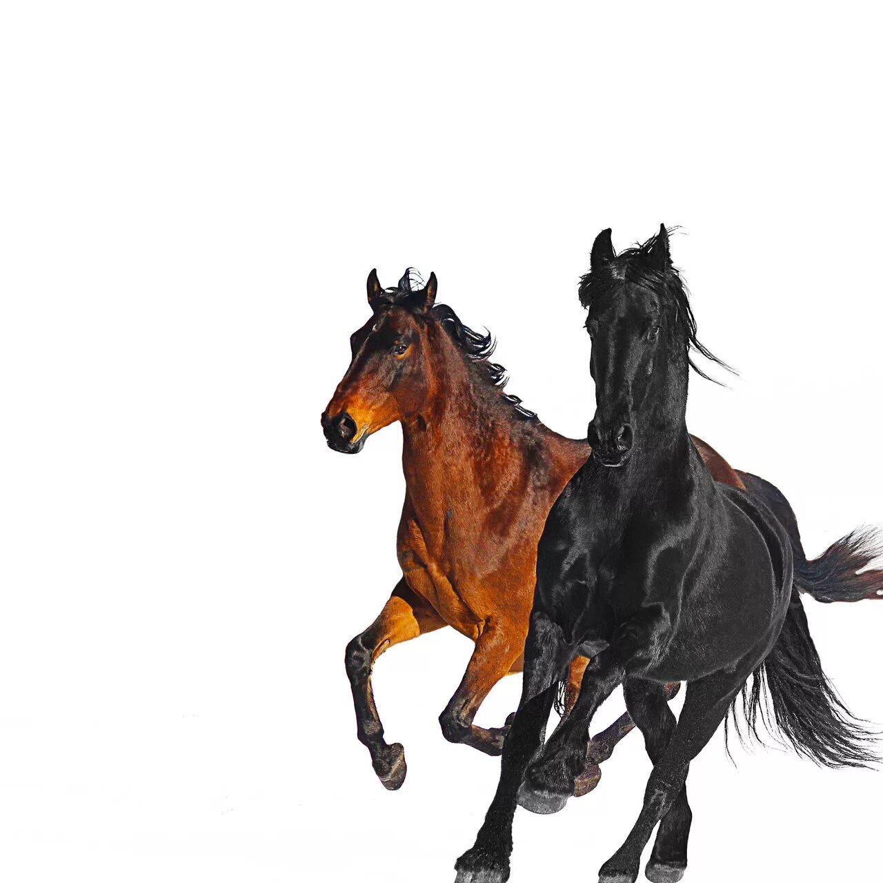 Олд Таун роуд. Lil nas x Billy ray Cyrus old Town Road. Билли old Town Road. Lil nas x Horse.