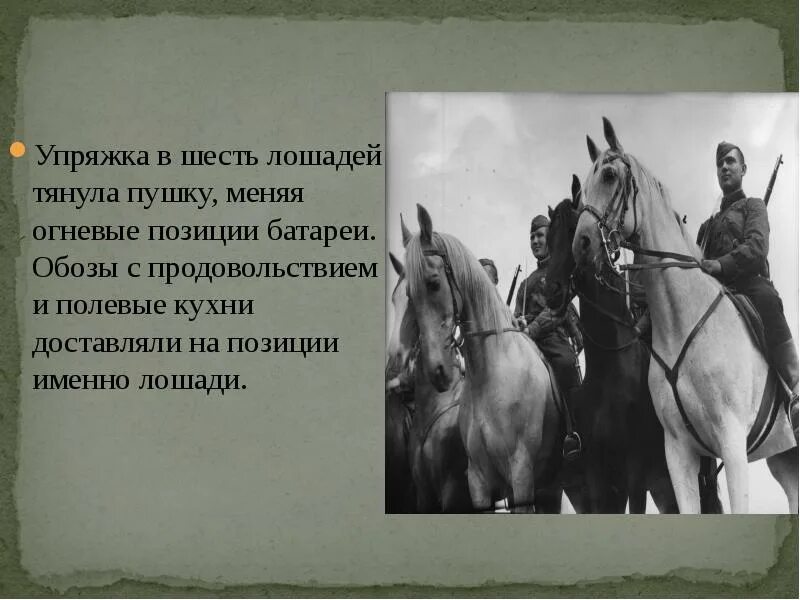 Почему именно конь. Лошади в Великую отечественную войну презентация. Лошадиная упряжь в ВОВ. Животные на войне презентация. Обозы с продовольствием.