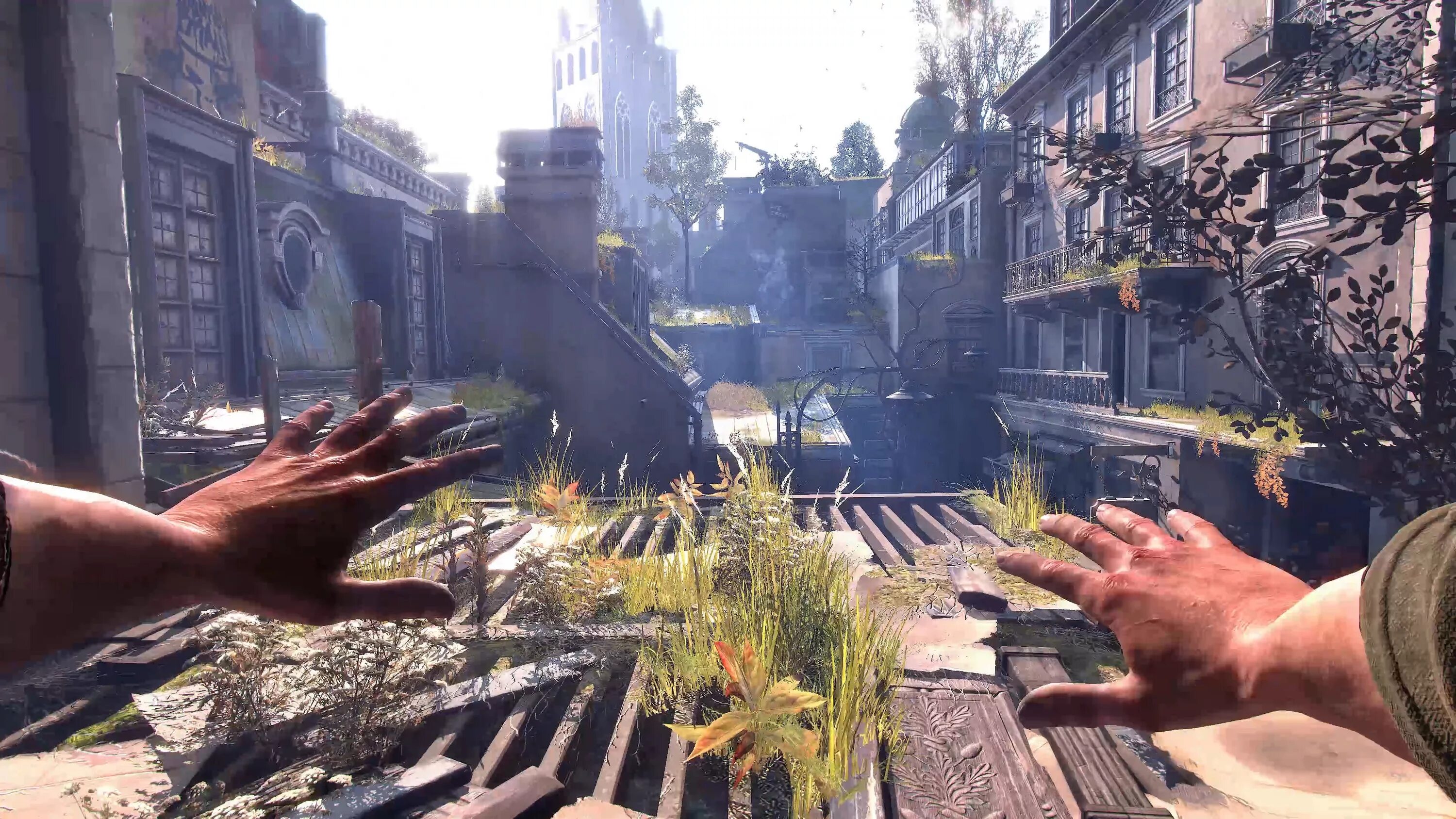 Бизнес лайт 2. Dying Light 2 переулок.