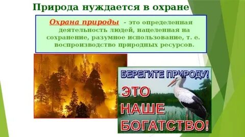 Природа и ее охрана в