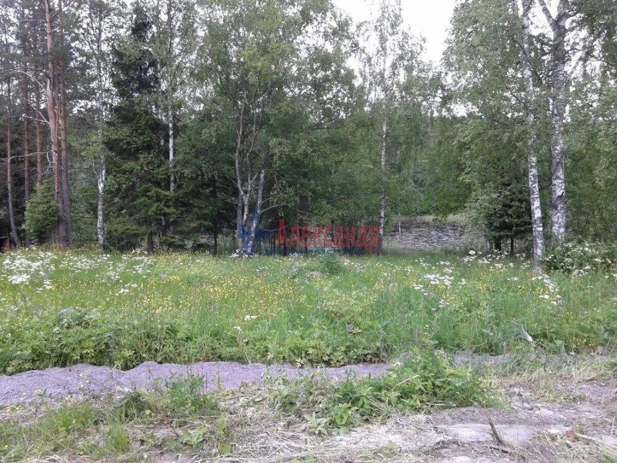 кузнечное, городской посёлок кузнечное, заводская улица. кузнечное ул. поселок кузнечное (хутор музей милка). д. кузнечное приозерск.