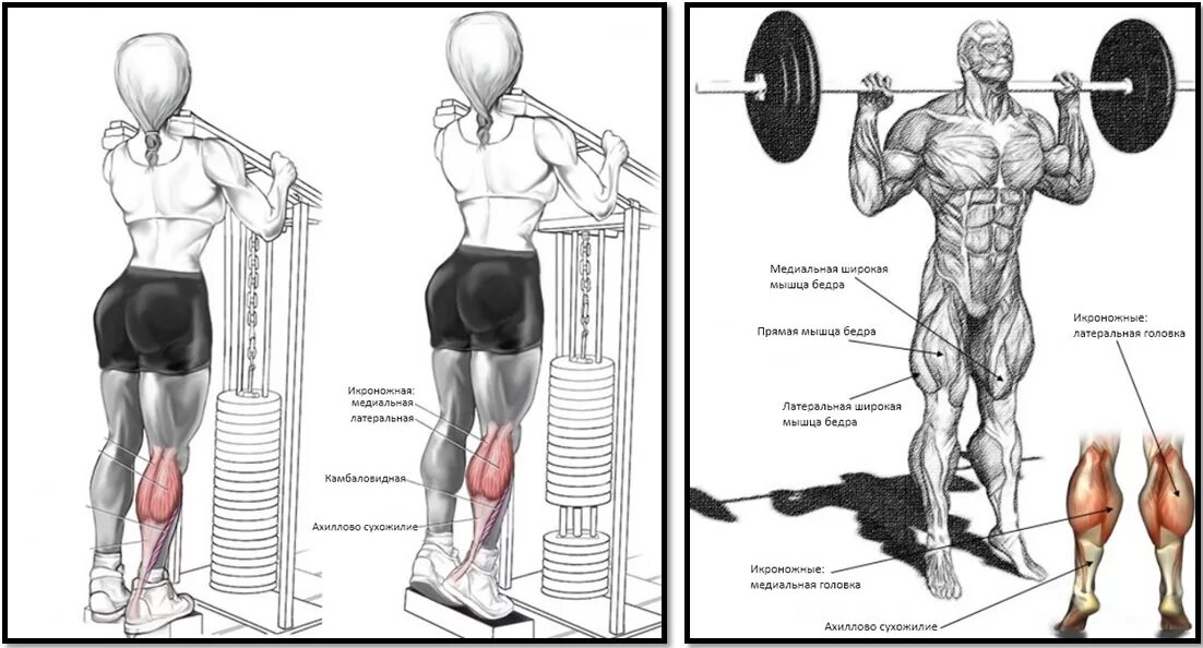 Прокачка икр. Прокачка икр. Прокачка икр. Подъёмы на икроножные мышцы с гантелями. Накаченные икроножные мышцы.