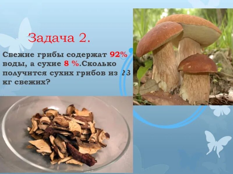 Свежий гриб содержит. Задачи про свежие грибы.