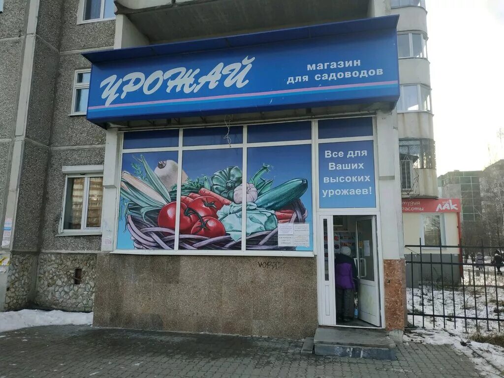 урожай екатеринбург. магазин урожай в екатеринбурге. екатеринбург ул шварца 18 корпус 1. урожай магазин екатеринбург уралмаш. магазин урожай шоссе.