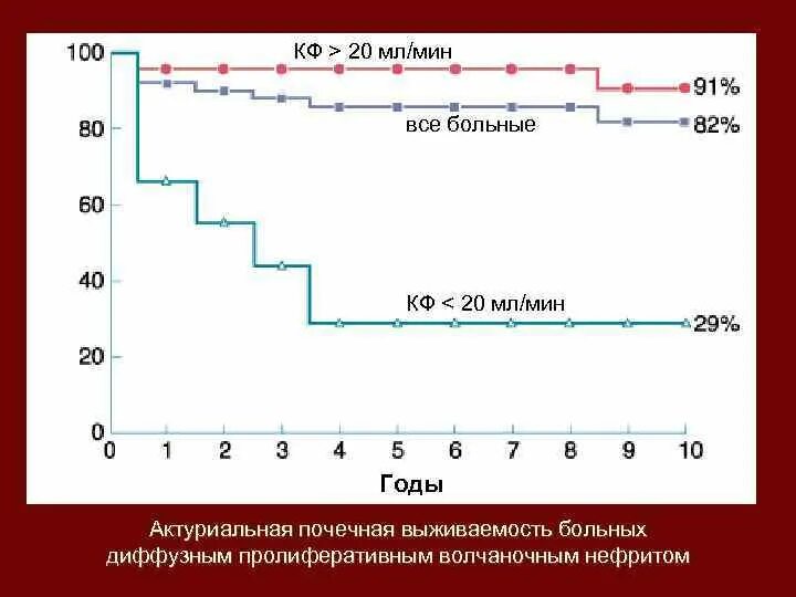 Рак почки выживаемость. Актуарная выживаемость это. Построить график выживаемости больных. PPS шкала выживаемость. График выживаемости при перегрузках.