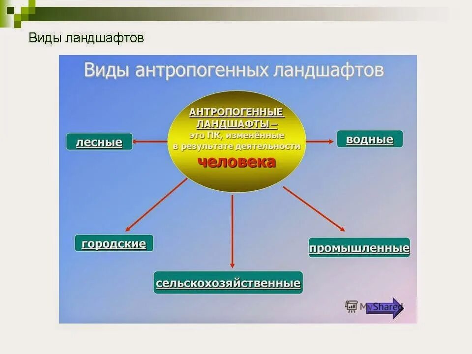 Антропогенные ландшафты виды