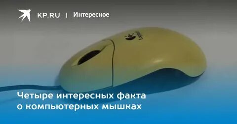 4 интересных фактов