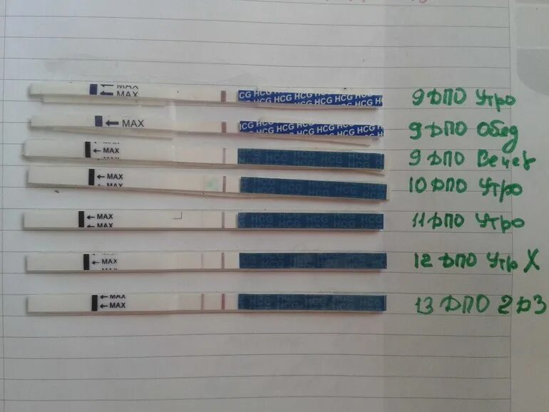 Тест хгч мочи. Тест на ХГЧ. Уровень ХГЧ В моче. Тест на ХГЧ В моче. ХГЧ И тест на беременность по дням.