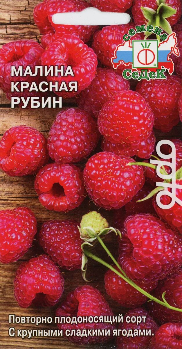 Малина рубиновая описание сорта фото отзывы. Семена малина "красная Рубин", 0,05г. СЕДЕК. Семена малина красная Рубин СЕДЕК. Малина "СЕДЕК" Рубин красная 0,05г. Малина красная Рубин, 0,05г.